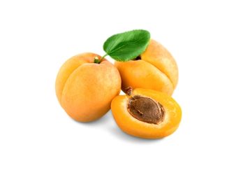 Apricot (Standard)