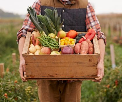 From Farm to Table: The Role of the Cold Chain in Fresh Produce Export