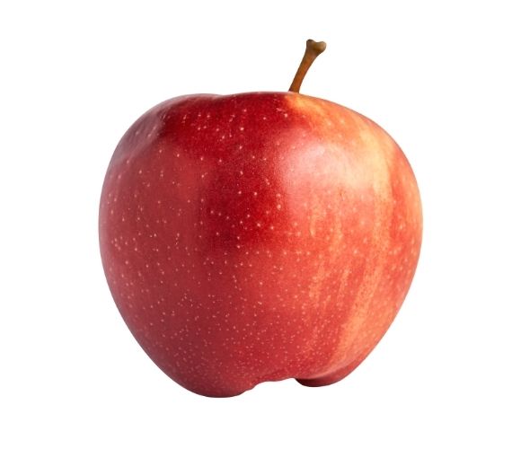 Apple (Gala)