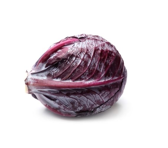 Red Cabbage