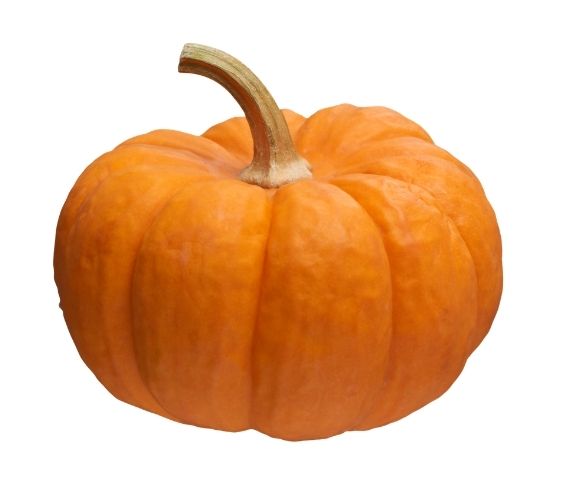 Pumpkin