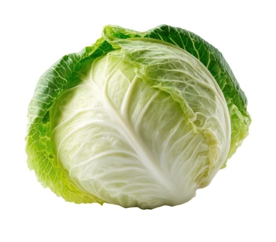 Cabbage