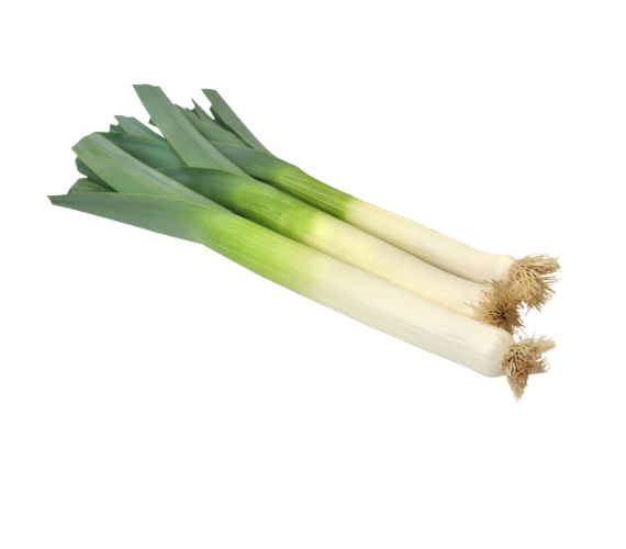 Leek