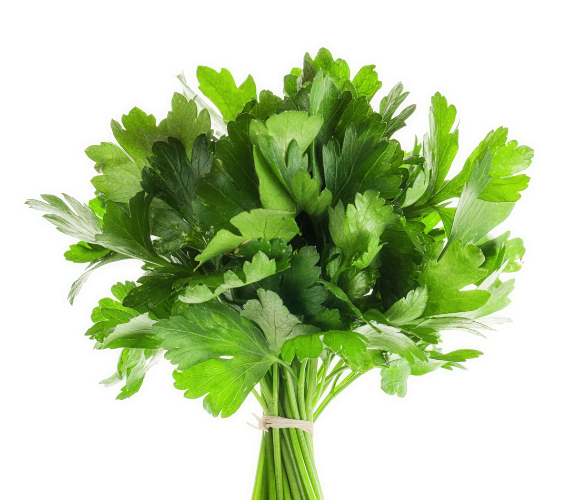 Parsley