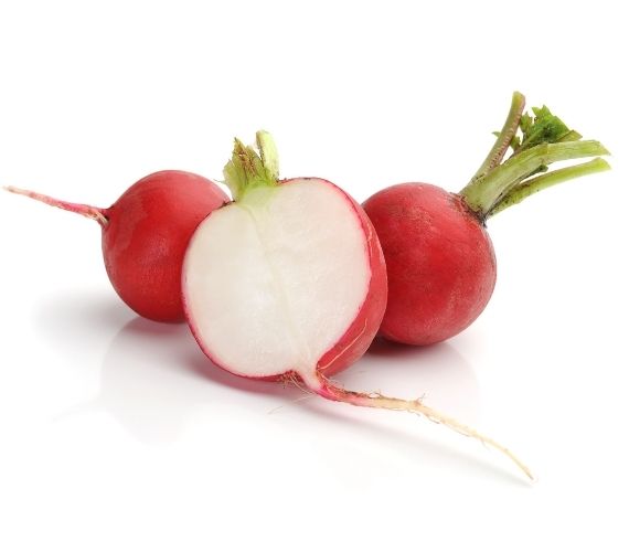 Turnip