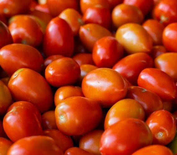 Cocktail Tomato
