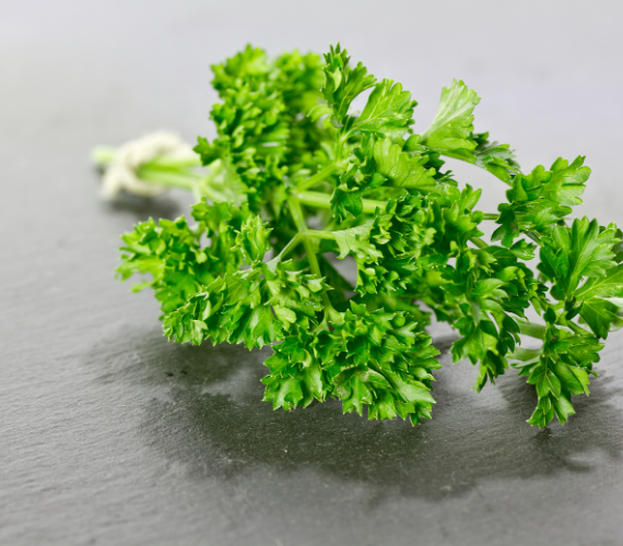 Curly Parsley