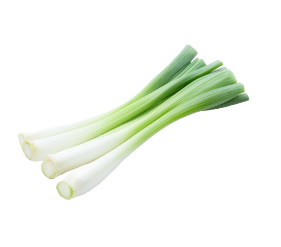 Spring Onion