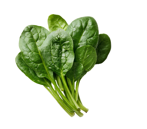 Spinach