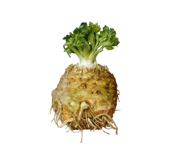 Root Celery
