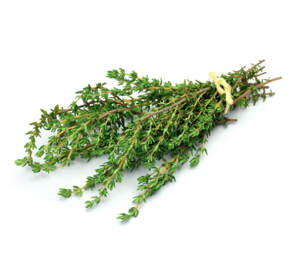 Thyme