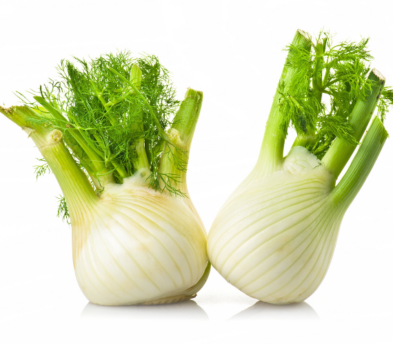 Fennel