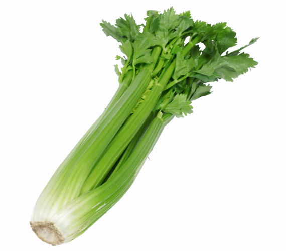 Green Celery