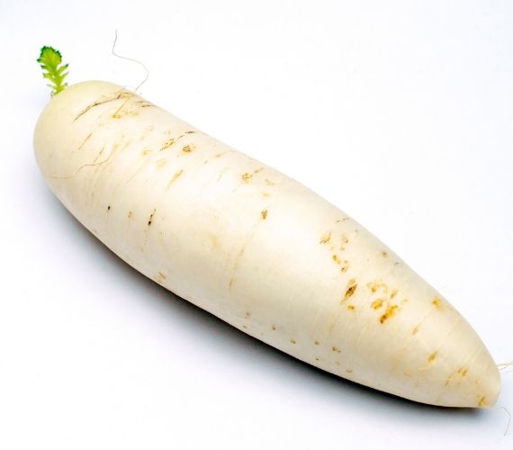 White Radish